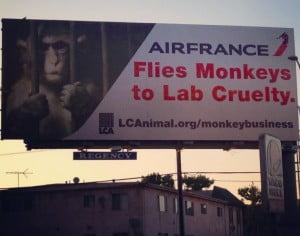 Pub anti Air France de PETA aux USA