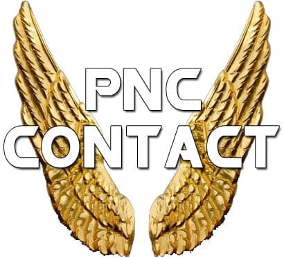 bilan 2019 PNC Contatct